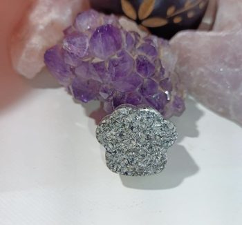 Orgonite dell'impronta dell'animale domestico trucioli di alluminio 10 gr.