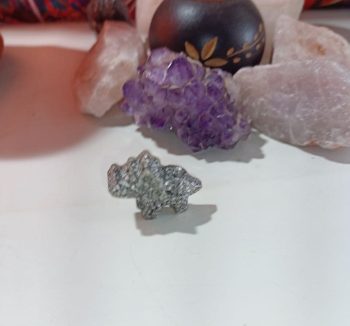 Orgonite Dinosauro Piccolo 8 gr. Modello 2
