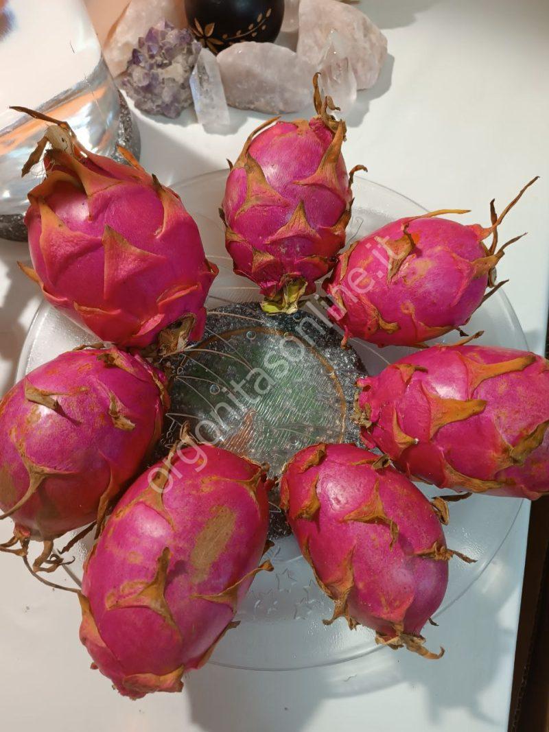 Disco Rivitalizzante per Liquidi e Alimenti. - Imagen 11