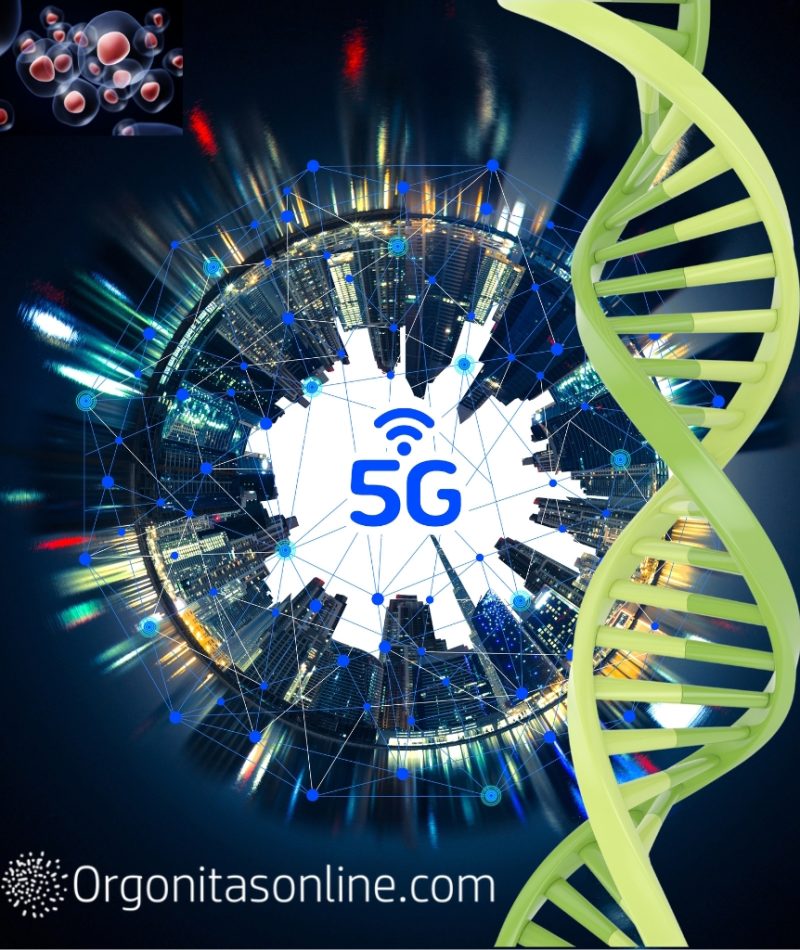 Il 5G e l’ossigeno delle nostre cellule.