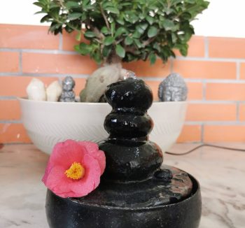 Sorgente d'acqua Protezione 5G